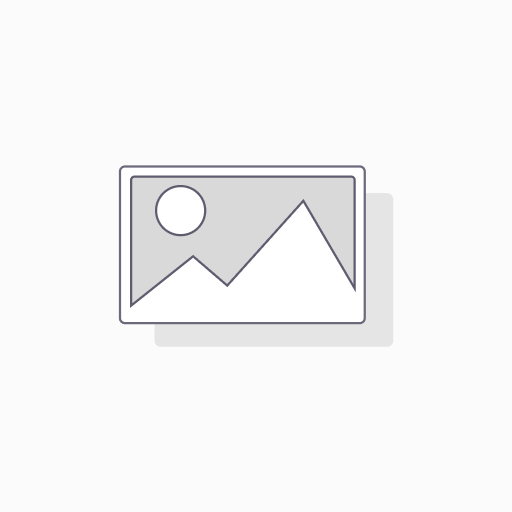 Llaves Allen - Raleigh