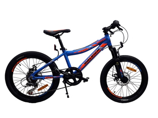 [BINROWDY20] Bicicleta R20 Mtb Rowdy Niño - Raleigh